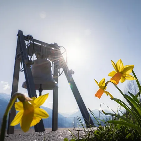 Solu Апартаменты *